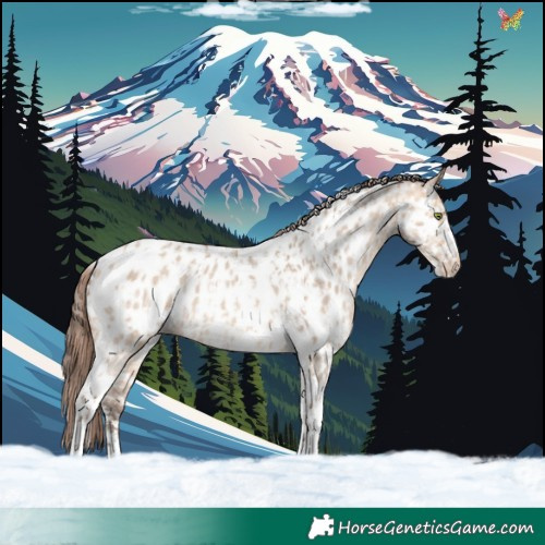 Horse Color:Amber Champagne Dun Sabino Tobiano Appaloosa and Amber Champagne Dun Sabino Tobiano Appaloosa