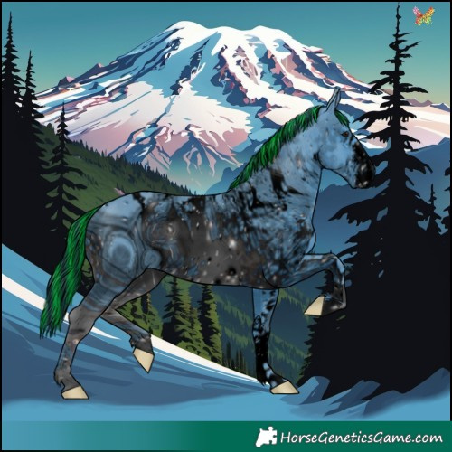Horse Color:ERROR: UNKNOWN ANOMALY