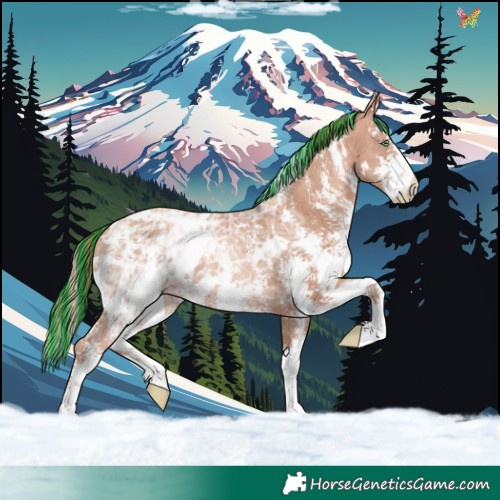 Horse Color:Painted White Spotted Gold Champagne Ice Sabino 