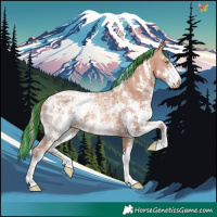 Horse Color:Painted White Spotted Gold Champagne Ice Sabino
