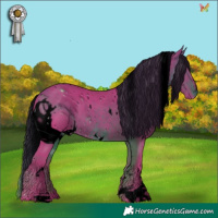 Horse Color:ERROR: UNKNOWN ANOMALY