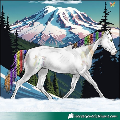 Horse Color:Painted White Spotted Gold Cream Champagne Ice Splash Tobiano 
