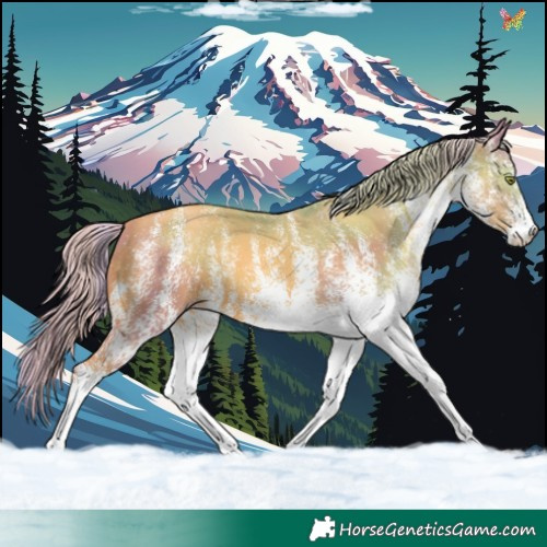 Horse Color:Watercolor White Spotted Gold Champagne