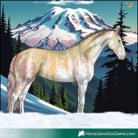 Horse Color:Watercolor White Spotted Gold Champagne 