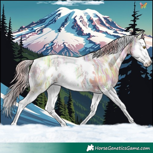 Horse Color:Watercolor White Spotted Gold Champagne Ice Splash