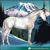 Horse Color:Watercolor White Spotted Gold Champagne Ice Splash 