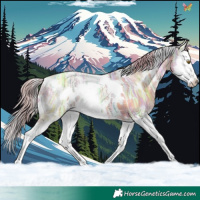 Horse Color:Watercolor White Spotted Gold Champagne Ice Splash 