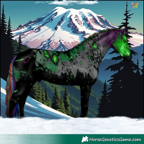 Horse Color:ERROR: UNKNOWN ANOMALY