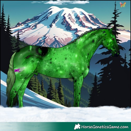 Horse Color:ERROR: UNKNOWN ANOMALY