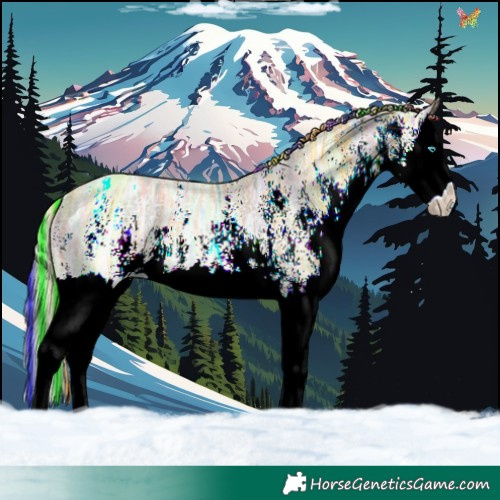 Horse Color:Painted White Spotted Gold Cream Champagne Ice Splash