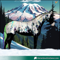 Horse Color:Painted White Spotted Gold Cream Champagne Ice Splash