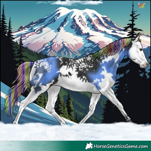Horse Color:Painted White Spotted Liver Chestnut Splash 