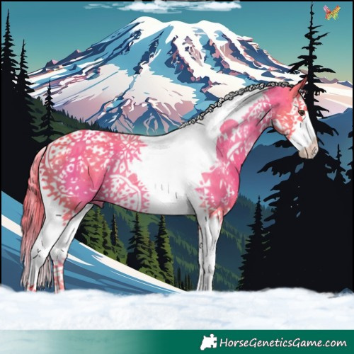 Horse Color:Watercolor White Spotted Liver Chestnut Splash Tobiano 