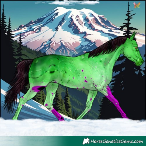 Horse Color:ERROR: UNKNOWN ANOMALY