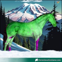 Horse Color:ERROR: UNKNOWN ANOMALY