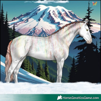 Horse Color:Watercolor White Spotted Gold Champagne Ice Splash 