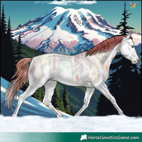 Horse Color:Watercolor White Spotted Gold Champagne Ice Splash 