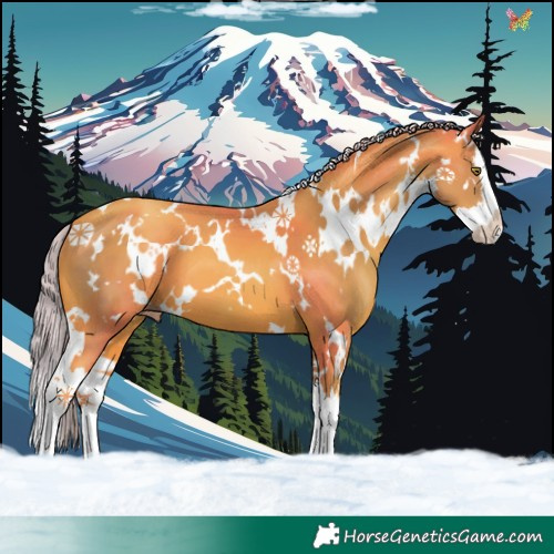 Horse Color:Watercolor White Spotted Gold Champagne Splash 