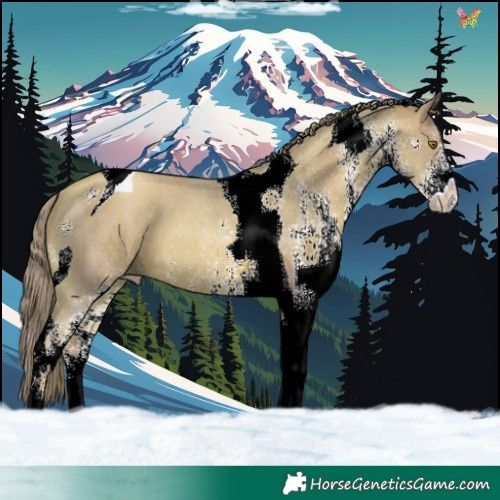 Horse Color:Watercolor White Spotted Gold Champagne Tobiano 