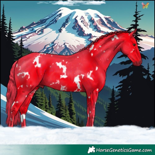 Horse Color:Watercolor White Spotted Liver Chestnut 