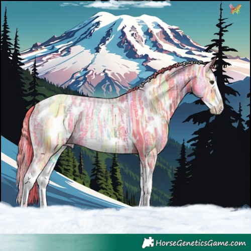 Horse Color:Watercolor White Spotted Liver Chestnut Ice Splash 