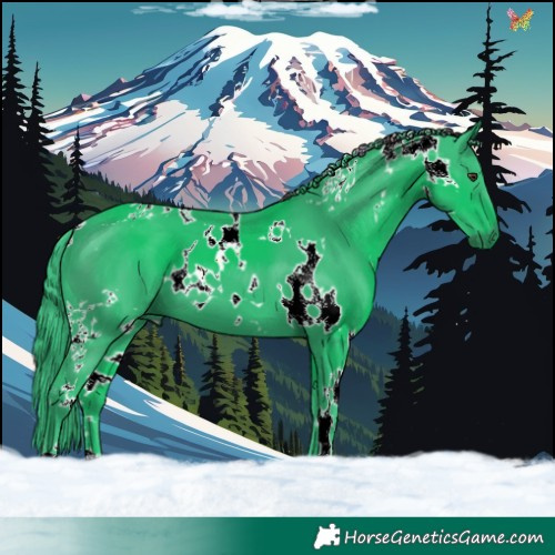 Horse Color:Watercolor White Spotted Liver Chestnut 