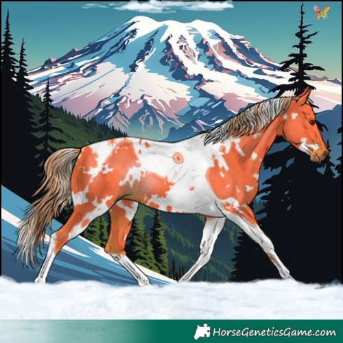 Horse Color:Watercolor White Spotted Liver Chestnut Tobiano 