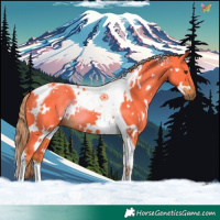 Horse Color:Watercolor White Spotted Liver Chestnut Tobiano