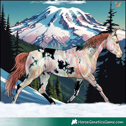 Horse Color:Watercolor White Spotted Liver Chestnut Ice 