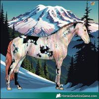 Horse Color:Watercolor White Spotted Liver Chestnut Ice