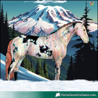 Horse Color:Watercolor White Spotted Liver Chestnut Ice 