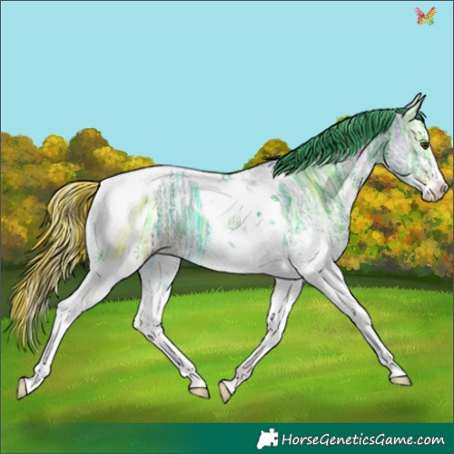 Horse Color:Watercolor White Spotted Liver Chestnut Ice Tobiano 
