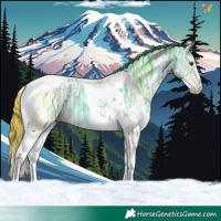 Horse Color:Watercolor White Spotted Liver Chestnut Ice Tobiano