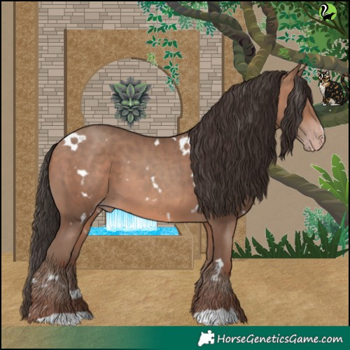 Horse Color:White Spotted Sable Champagne 