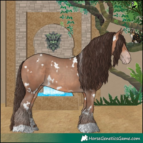 Horse Color:White Spotted Amber Champagne 