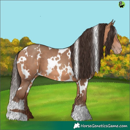 Horse Color:White Spotted Amber Champagne 