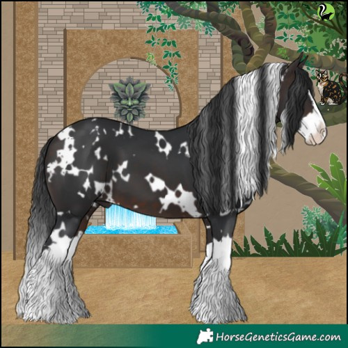 Horse Color:White Spotted Brown Splash 