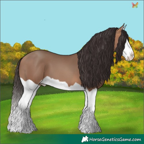 Horse Color:Amber Champagne Splash 