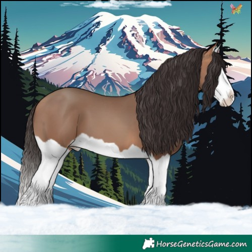 Horse Color:Amber Champagne Splash 