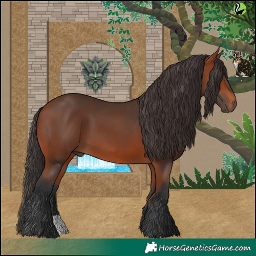 Horse Color:Bay 