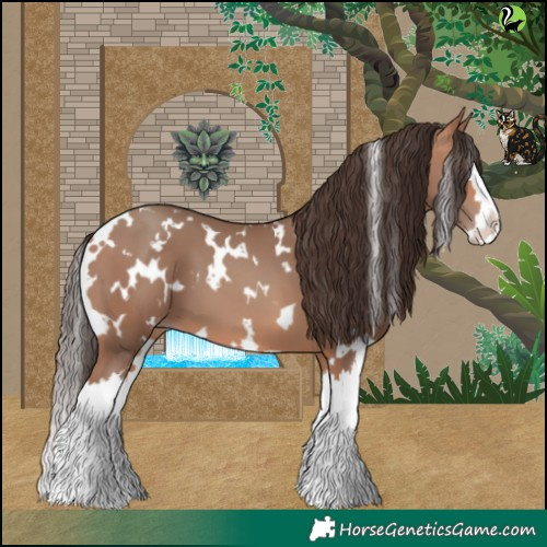 Horse Color:White Spotted Amber Champagne Splash 