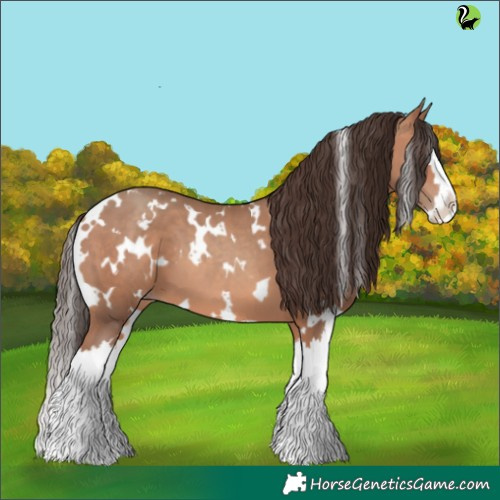 Horse Color:White Spotted Amber Champagne Splash