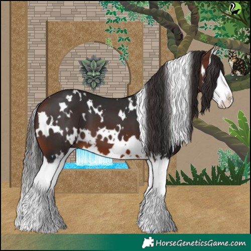 Horse Color:White Spotted Brown Splash 