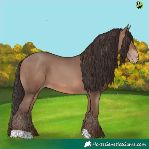 Horse Color:Sable Champagne 