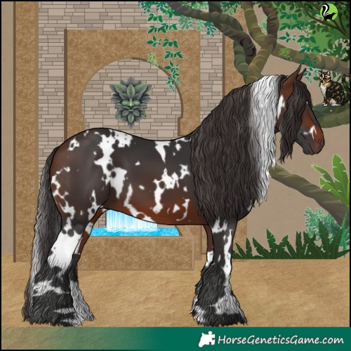 Horse Color:White Spotted Brown 