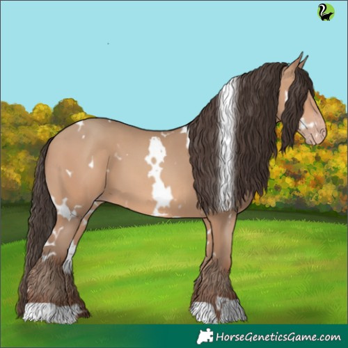 Horse Color:White Spotted Amber Champagne 