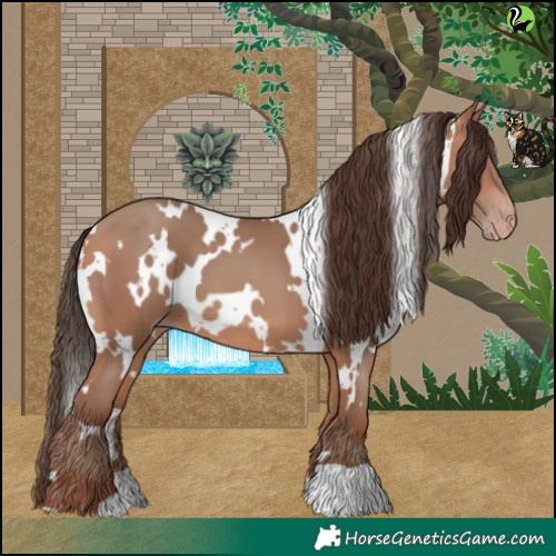 Horse Color:White Spotted Sable Champagne 