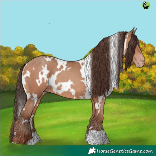 Horse Color:White Spotted Sable Champagne 