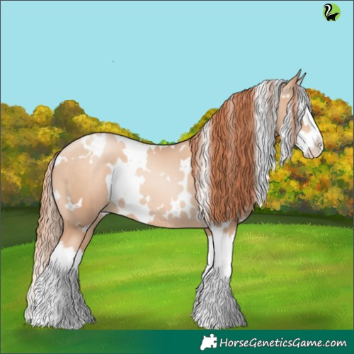 Horse Color:White Spotted Sable Champagne Pearl Splash
