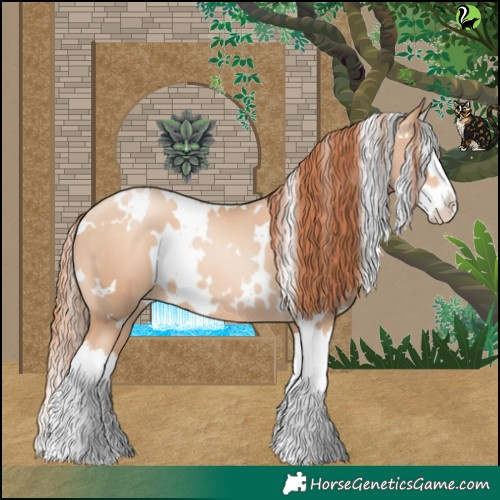 Horse Color:White Spotted Sable Champagne Pearl Splash 